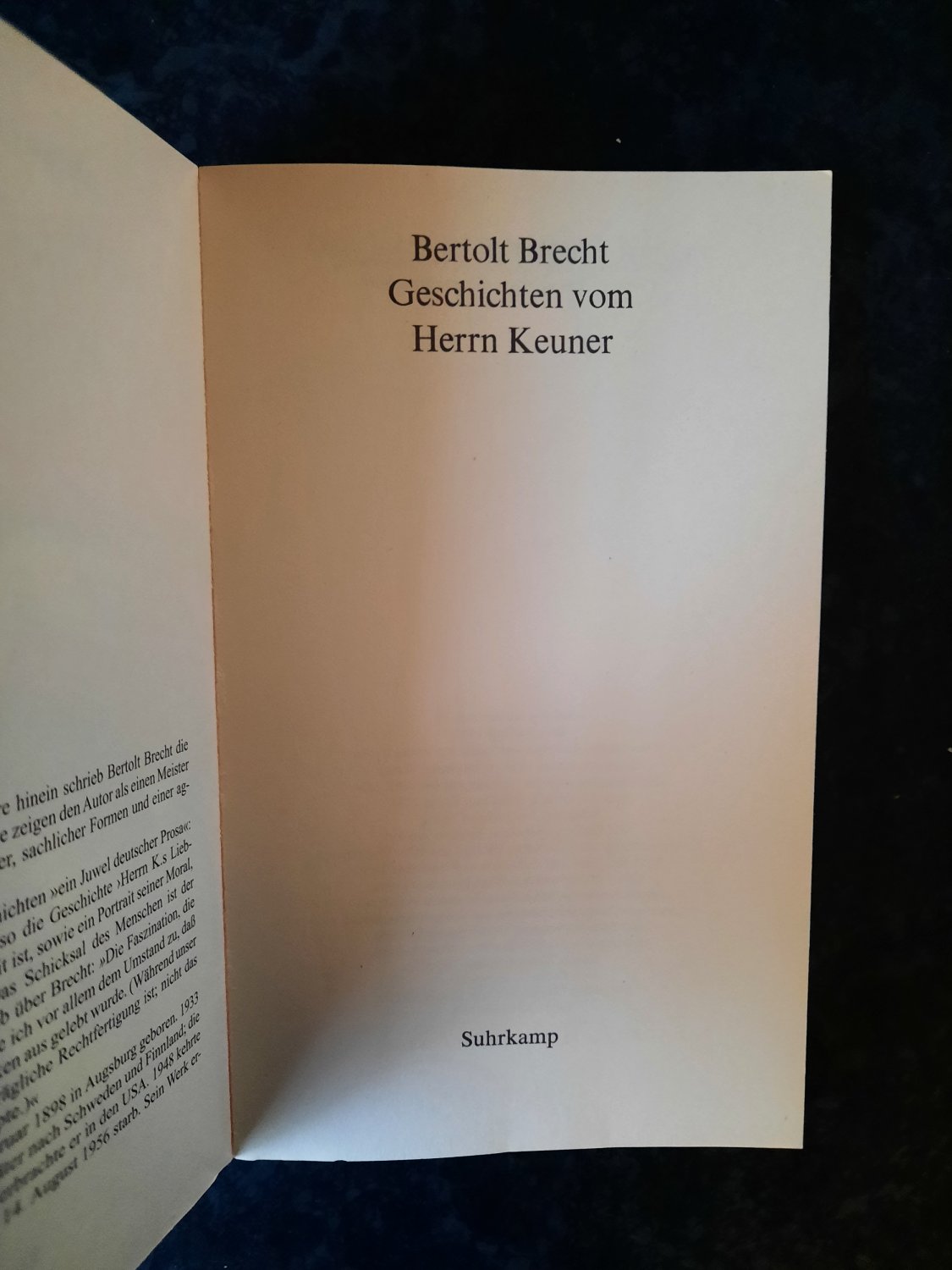 Geschichten vom Herrn Keuner“ (Bertolt Brecht) – Buch
